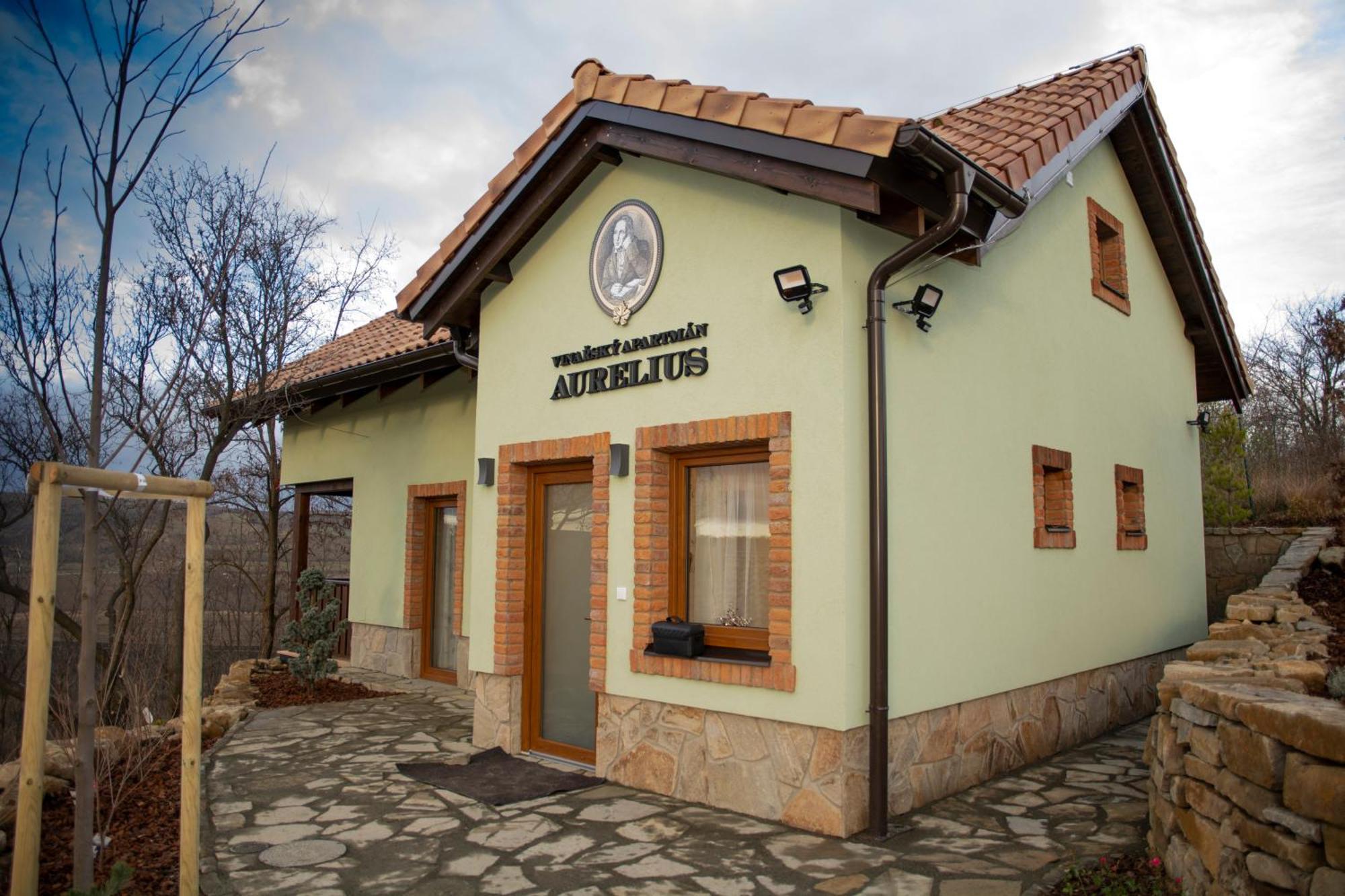 Penzión pre hostí Vinarsky Andre Velke Pavlovice